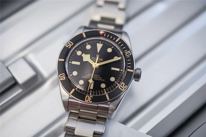 2. Tudor Black Bay.