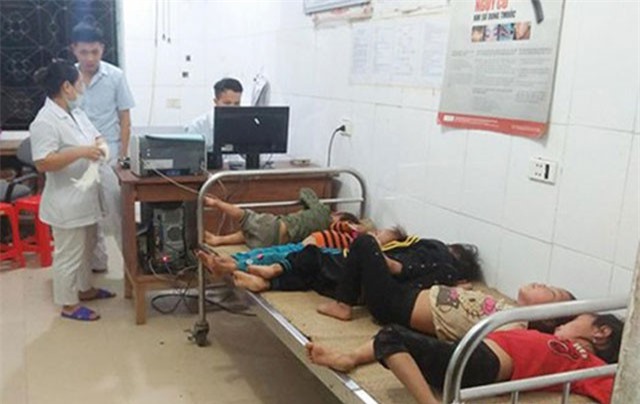 7 người phải cấp cứu vì bị ong đốt khi thu hoạch lúa