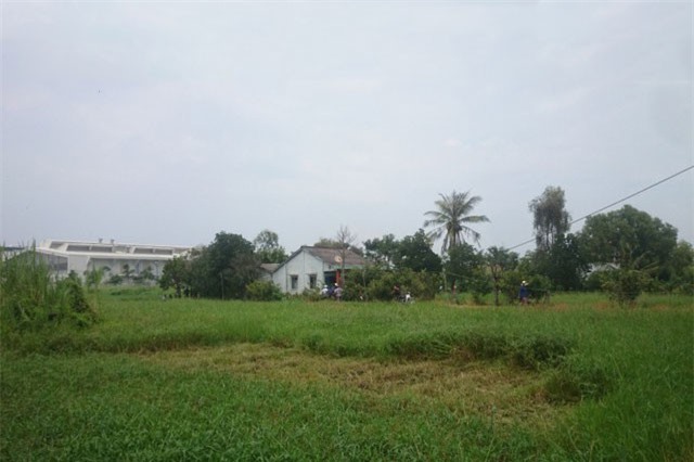 Vợ chết, chồng nguy kịch trong ngôi nhà giữa đồng