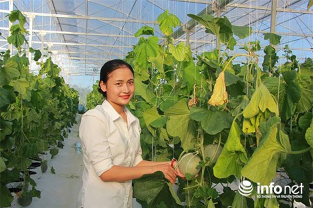 Người phụ nữ xinh đẹp trồng rau công nghệ Isarel thu tiền tỉ mỗi năm