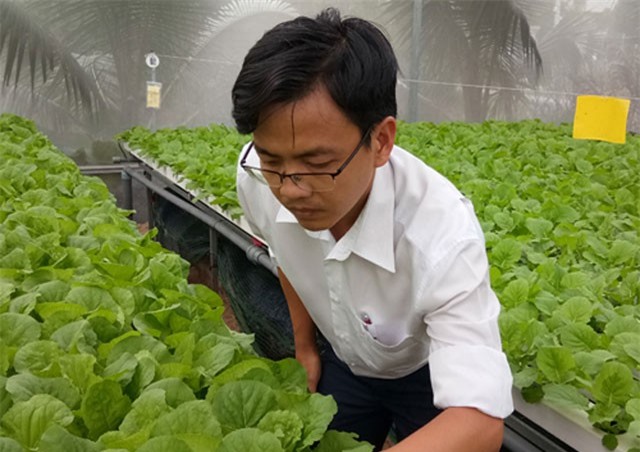8X Sài Gòn bỏ ngân hàng lương cao về "nghịch nước" trồng rau