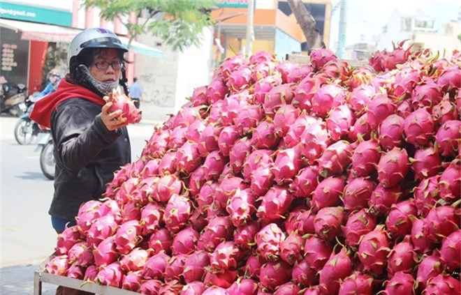 Vi sao nong san Viet gap kho tai thi truong Trung Quoc? hinh anh 1