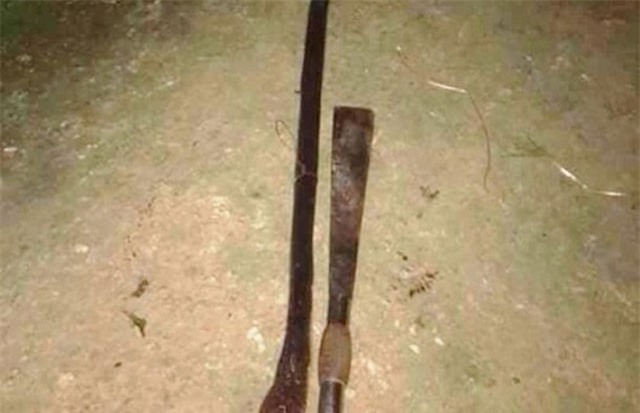 Nghệ An: Bị rắn hổ mang chúa cắn chết khi cố gắng cứu đàn gà