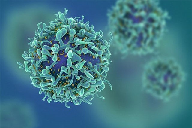 Thuốc điều trị HIV đầu tiên an toàn khi thử nghiệm giai đoạn một