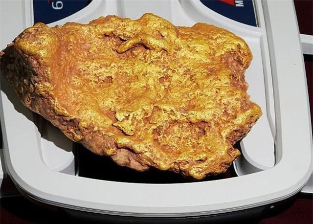 Thợ mỏ về hưu bất ngờ đào được "chân vịt" vàng khổng lồ, trị giá tiền tỷ