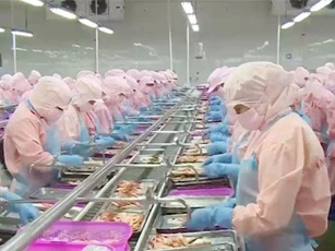 Xuất khẩu thủy sản sang Hoa Kỳ tăng trưởng vượt bậc