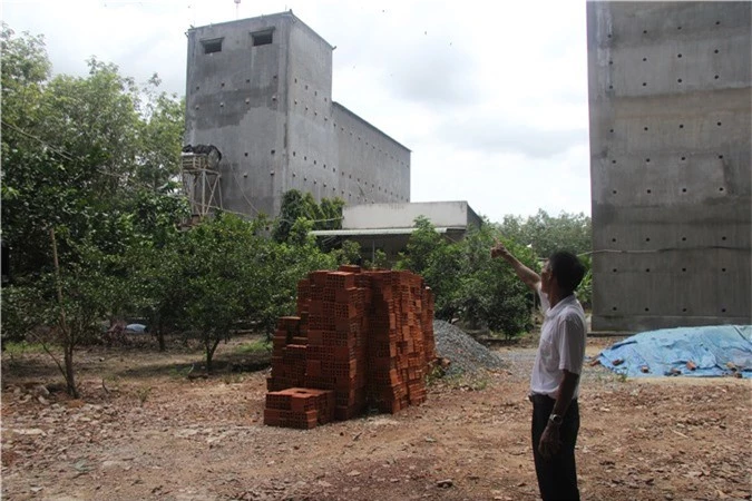 Bình Dương: Lộc trời 6 tỷ từ 6 con chim lạ sa vào nhà