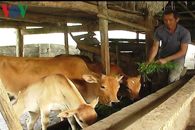 Thu trăm triệu đồng mỗi năm nhờ mô hình VAC khoa học