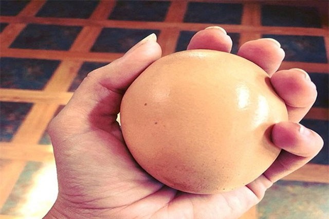 Trứng khổng lồ "mang bầu" thêm trứng gây sốc
