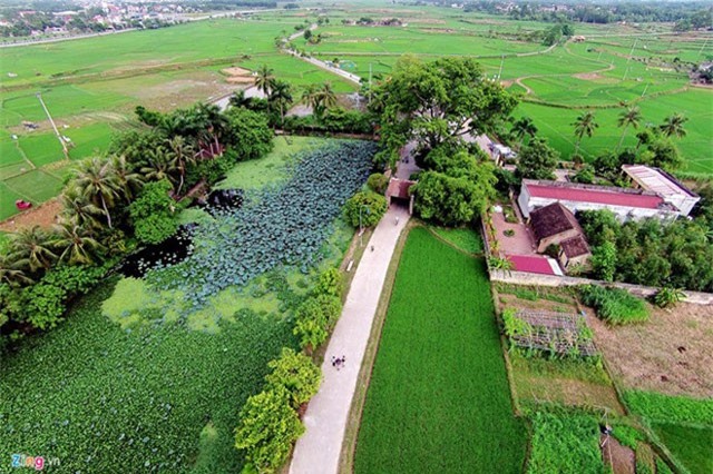 Vị vua Việt nào khiến tướng nhà Đường sợ phát bệnh mà chết?