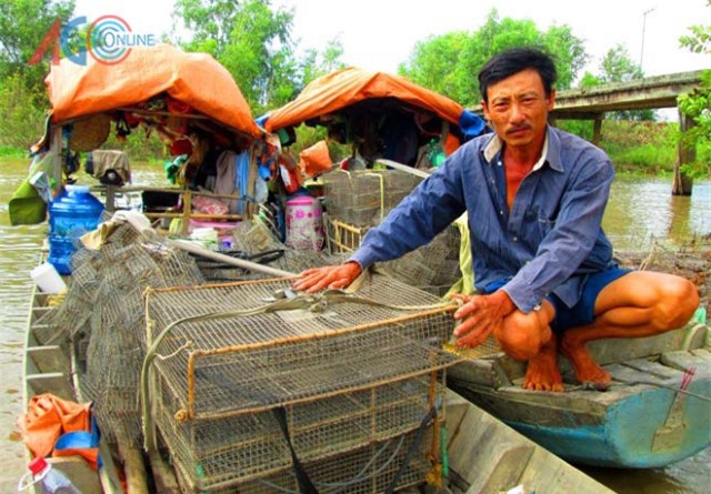 An Giang: Cả làng sống khỏe re nhờ làm rập bắt chuột, rắn, ếch