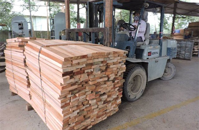 Giá trị xuất khẩu lâm sản chính tăng 14%