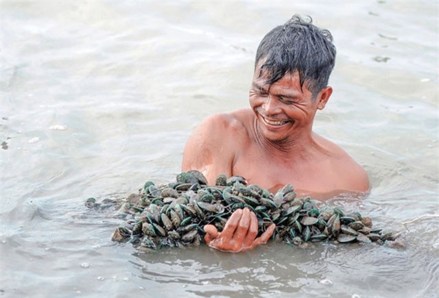 Cho sò huyết, vẹm, nghêu “ở 1 nhà”, tưởng bất hoà mà thu tiền tỷ