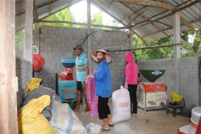 nuoi gà thả chay khap doi heo hut, 