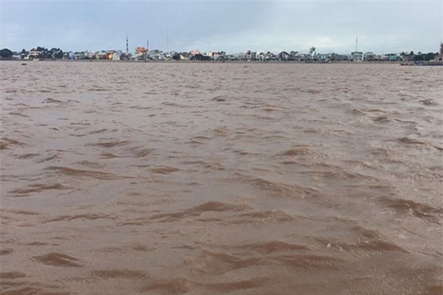 Lũ trên sông Cửu Long đang dao động ở mức đỉnh