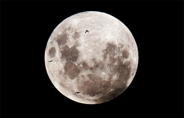 Vì sao tội phạm thường gia tăng hành động vào những đêm trăng tròn?