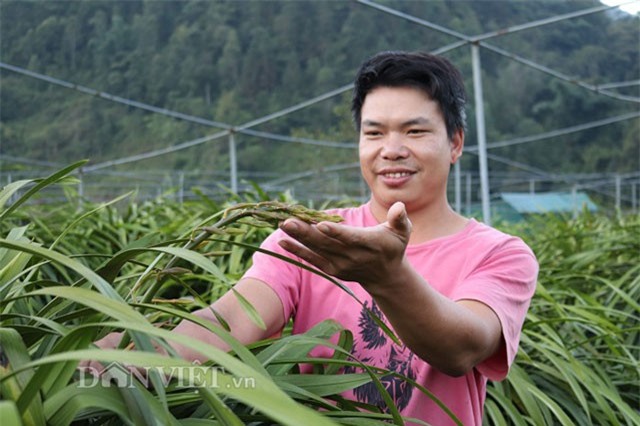 "Phát hờn" với vườn lan Trần Mộng tiền tỷ của 8X Sa Pa 