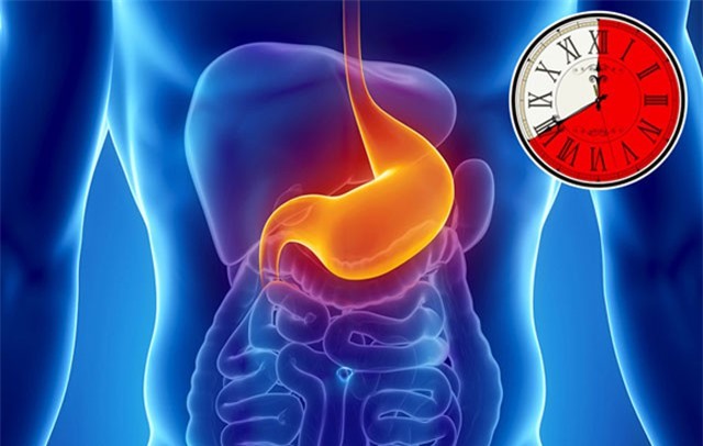 Mất bao lâu để cơ thể tiêu hóa được thực phẩm bạn đã ăn