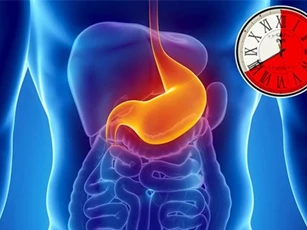 Mất bao lâu để cơ thể tiêu hóa được thực phẩm bạn đã ăn