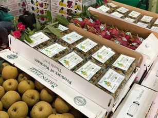Xuất khẩu nông sản 9 tháng đạt 29,54 tỷ USD