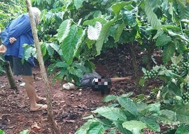 Điều tra nguyên nhân tử vong của người đàn ông trong rẫy cà phê