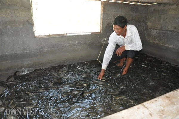 ninh binh: lao nong kiem tien ty nho 