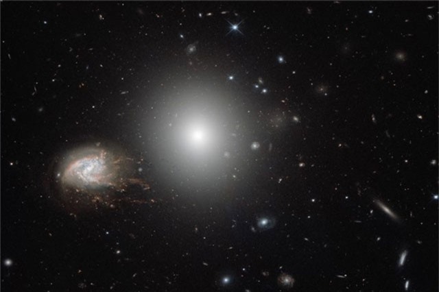 Hơn 1.000 thiên hà tụ trong cụm sao 'khủng' Coma