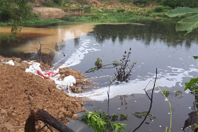 Ô nhiễm nguồn nước, cá chết trắng kênh