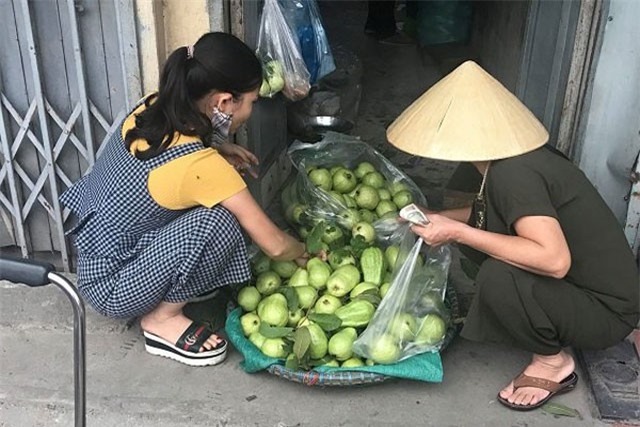 Vợ chồng lão nông đều đặn thu 100 triệu đồng/tháng nhờ... cây ổi