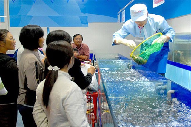 Cua Cà Mau đấu với... cua hoàng đế Mỹ