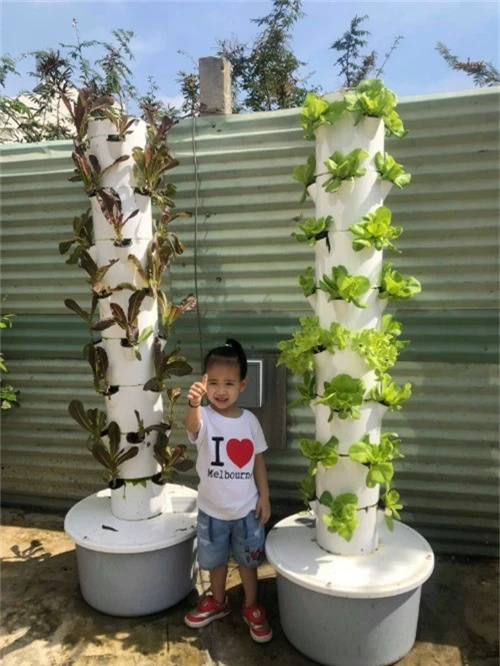 Ông xã của Thanh Vân đặt 2 tháp rau thuỷ canh để trồngrau muống, xà lách xanh, xà lách tím... Hệ thốngtự động bơm dung dịch thủy canh5 phút một lần vàcứ tầm 15-20 ngày cho thu hoạch một đợt rau.
