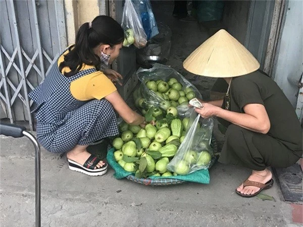 Bằng cách này, vợ chồng lão nông đều đặn thu 100 triệu đồng/tháng