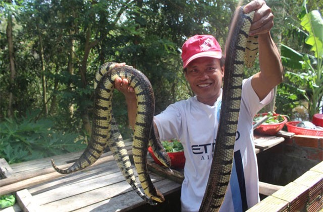 Dân vùng lũ cải thiện cuộc sống nhờ đánh bắt 'lộc trời cho'