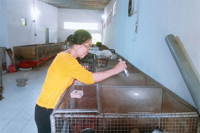 Người phụ nữ về hưu kiếm 200 triệu/năm từ mô hình nuôi chồn hương