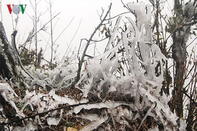 Mùa Đông 2018 đến sớm và rét đậm, rét hại sẽ nhiều hơn ​
