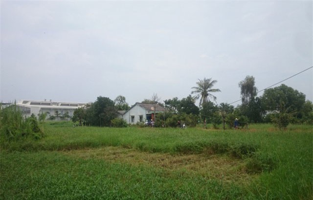 Long An: Chồng giết vợ rồi tự sát