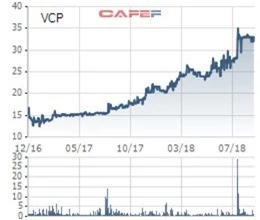 Agrimeco đã thoái hết vốn tại Năng lượng Vinaconex (VCP) - Ảnh 1.