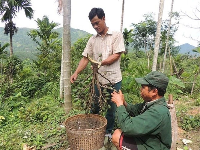 gia cau tang khong tuong, mang tien ty cho nguoi trong hinh 7