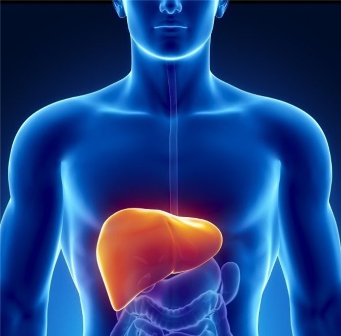 Gan khỏe tới đâu sống thọ tới đó: 8 bí quyết đơn giản và cần kíp để giải cứu gan ốm yếu