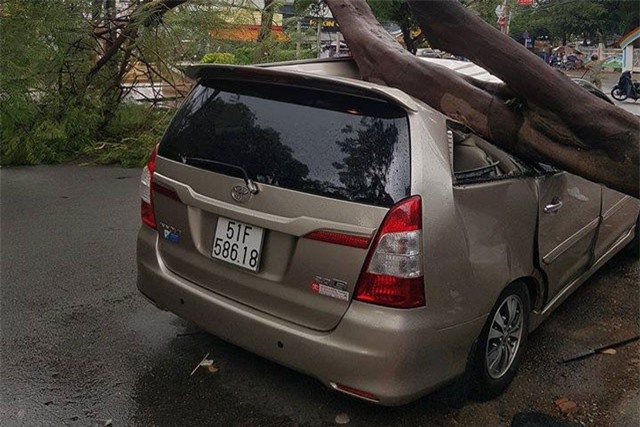 "Xế hộp" bị cây xanh đè bẹp rúm trên đường, tài xế thoát chết