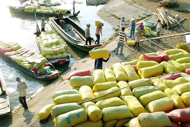 BẢN TIN TÀI CHÍNH-KINH DOANH: Xuất khẩu gạo lập kỷ lục 3 năm, vốn FDI đổ mạnh vào bất động sản