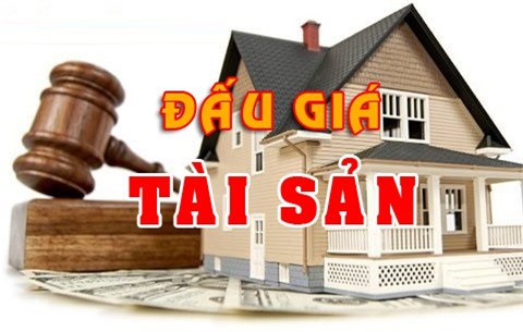 Đấu giá các khoản nợ xấu của Công ty CP Tập đoàn Đông Thiên Phú tại ngân hàng Agribank
