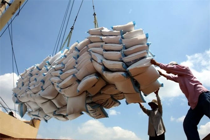 Xuất khẩu gạo đạt mức kỷ lục 3 năm.