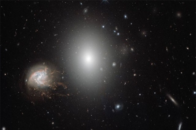 Hơn 1.000 thiên hà tụ trong cụm sao khủng Coma