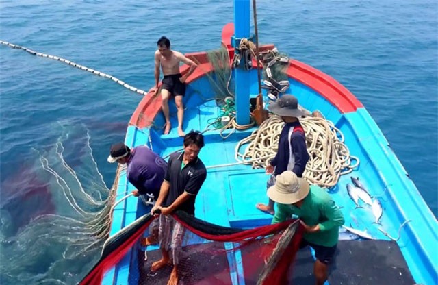 Thúc đẩy minh bạch thông tin khai thác thủy sản
