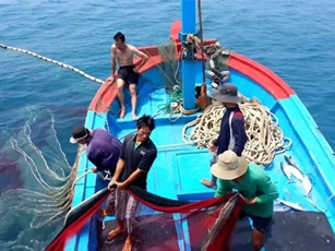 Thúc đẩy minh bạch thông tin khai thác thủy sản