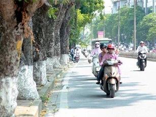 Dự báo thời tiết 3/10: Miền Bắc hanh khô như rang