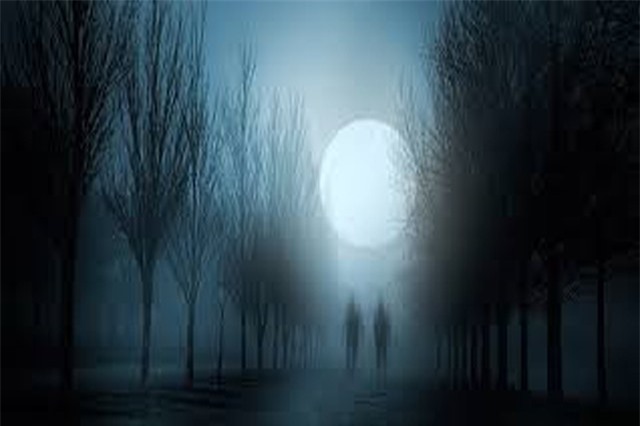 Bí ẩn khả năng nhìn thấy "hồn ma" của động vật