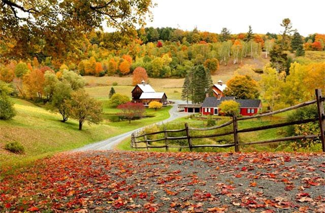 Những trải nghiệm thú vị mùa thu ở 'trời Tây'