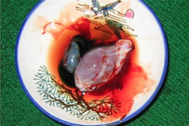 Những đặc sản ở Việt Nam không dành cho những người yếu bóng vía